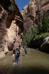 Zion Narrows prochází spousta turistů s půjčenými holemi.